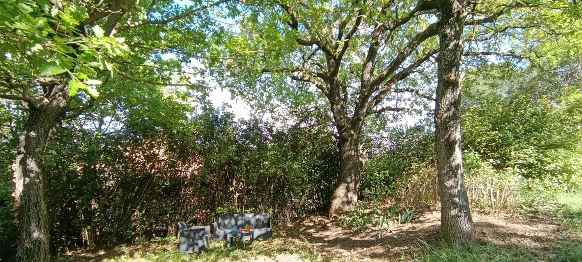 Les Lilas Des Chenes Piolenc Exteriör bild