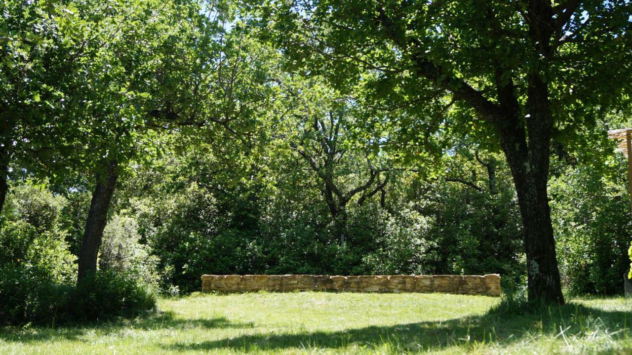 Les Lilas Des Chenes Piolenc Exteriör bild
